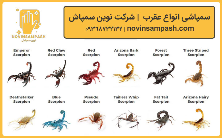 سمپاشی عقرب 3 spraying scorpion novinsampash 3