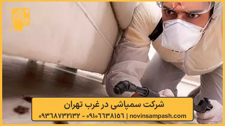 شرکت سمپاشی در غرب تهران - نوین سمپاش