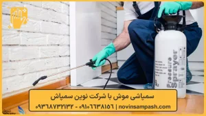 سمپاشی موش 2 سمپاشی موش با شرکت نوین سمپاش - نوین سمپاش