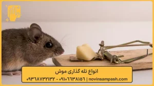 سمپاشی موش 5 انواع تله گذاری موش - نوین سمپاش