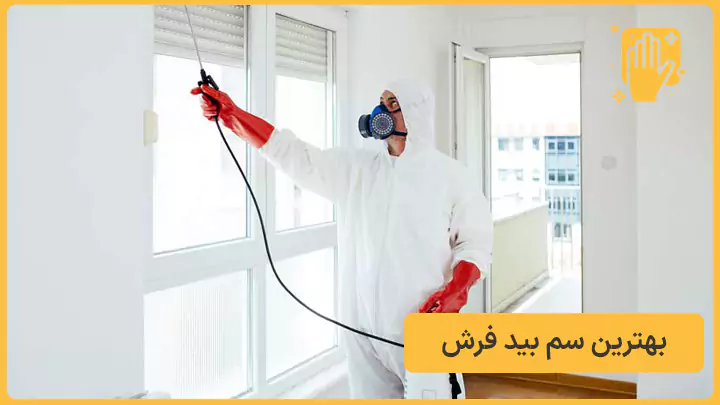 بهترین سم بید فرش - نوین سمپاش