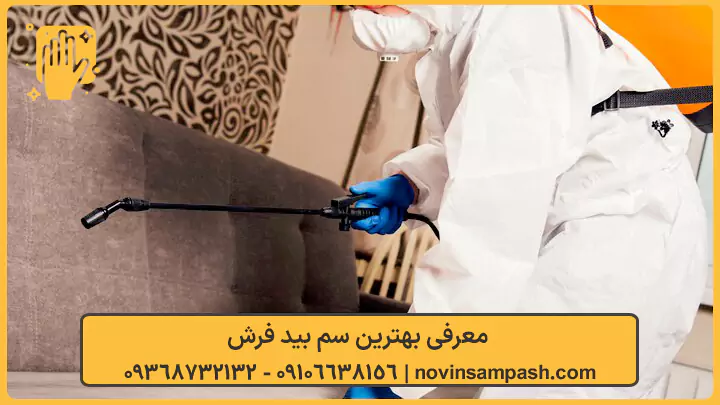 معرفی بهترین سم بید فرش - نوین سمپاش