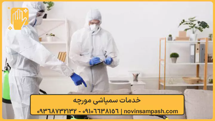 خدمات سمپاشی مورچه - نوین سمپاش