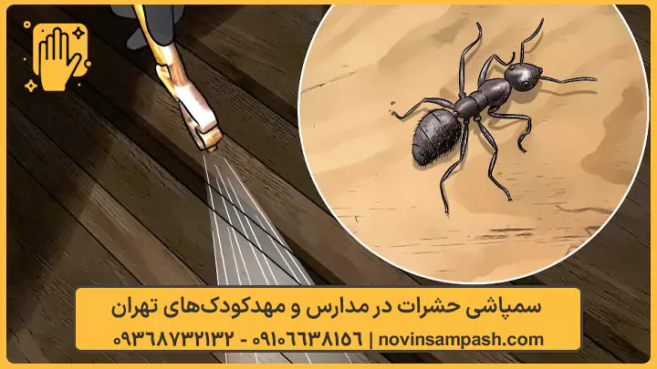 سمپاشی خواجه نظام تهران 2 spraying khajeh nezam 3