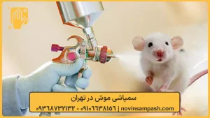 سمپاشی موش 1 سمپاشی موش در تهران - نوین سمپاش