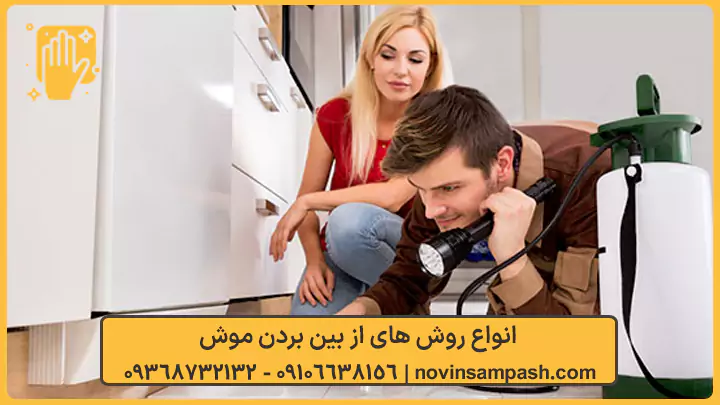 سمپاشی موش 7 انواع روش های از بین بردن موش - نوین سمپاش