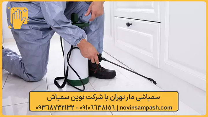 سمپاشی مار تهران 1 سمپاشی مار تهران - نوین سمپاش