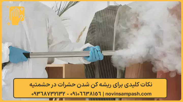 سمپاشی حشمتیه تهران 3 نکات کلیدی برای ریشه کن شدن حشرات در حشمتیه - نوین سمپاش