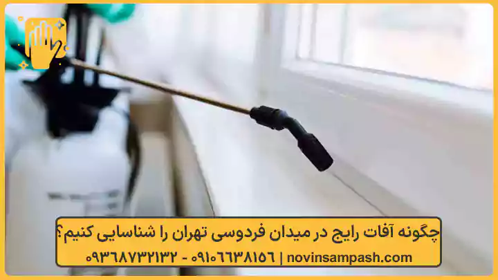 چگونه آفات رایج در میدان فردوسی تهران را شناسایی کنیم؟ - نوین سمپاش