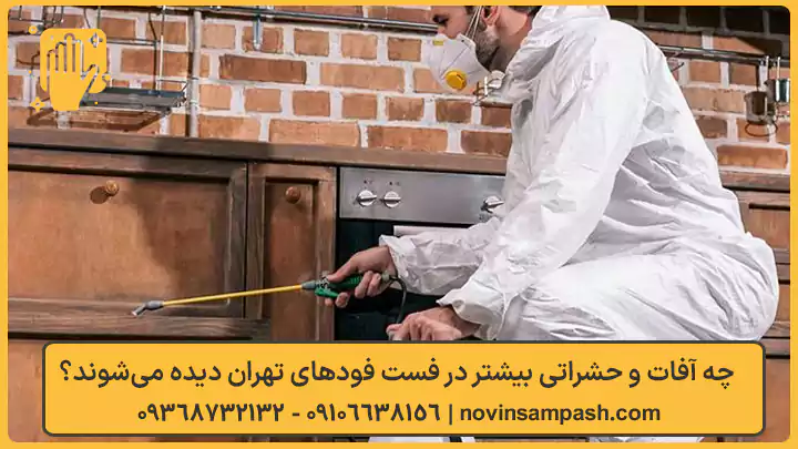 سمپاشی فست فود در تهران 3 چه آفات و حشراتی بیشتر در فست فودهای تهران دیده میشوند؟ - نوین سمپاش
