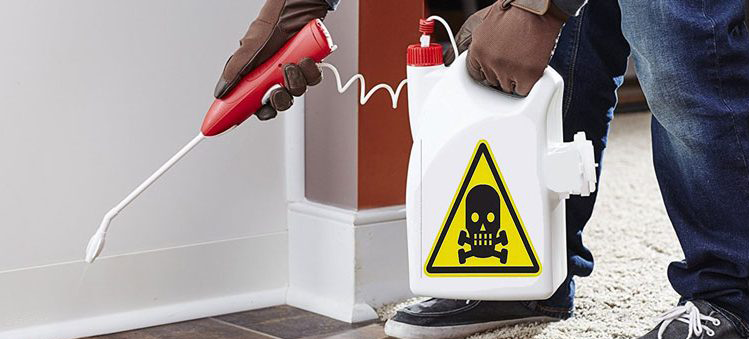 خطرات سمپاشی غیر اصولی برای منزل