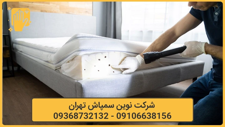 خدمات سمپاشی ساس در تهران - نوین سمپاش