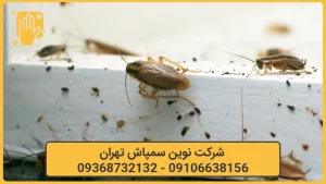 سمپاشی سوسک تهران نوین سمپاش 2