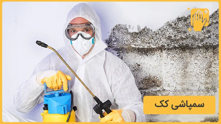 سمپاشی کک تهران