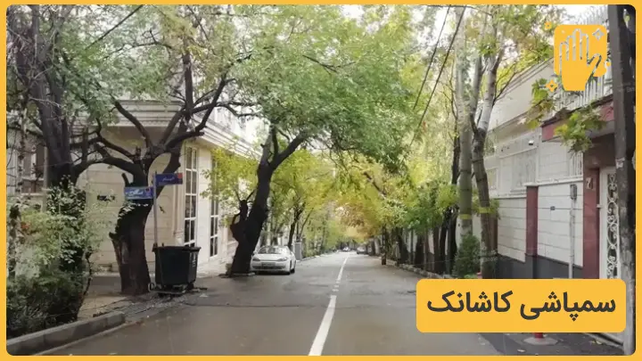 خدمات سمپاشی کاشانک تهران ـ نوین سمپاش