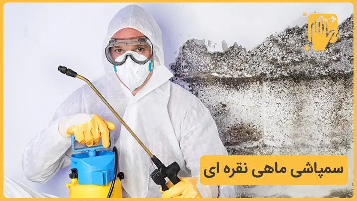 خدمات تخصصی سمپاشی ماهی نقره ای یا سیلور فیش در نوین سمپاش