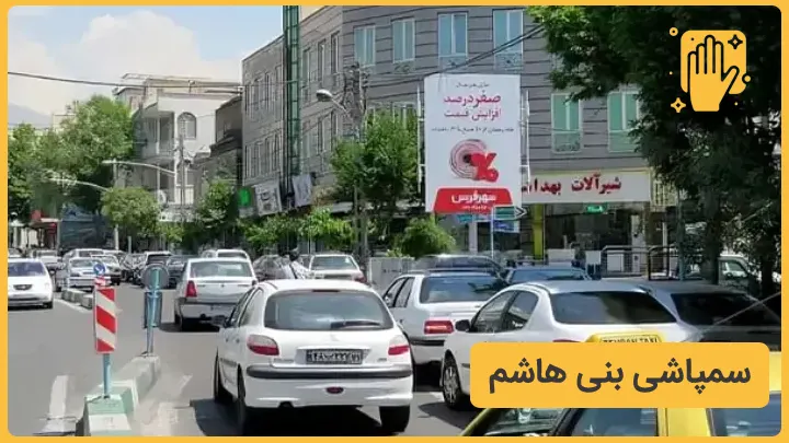 خدمات سمپاشی بنی هاشم تهران - نوین سمپاش